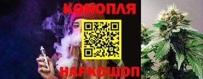 стафф Будённовск