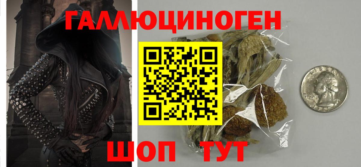 Галлюциногенные грибы мухоморы Конаково